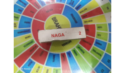 Naag