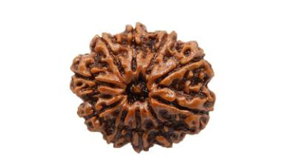 Ten Mukhi