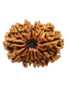 Twelve Mukhi