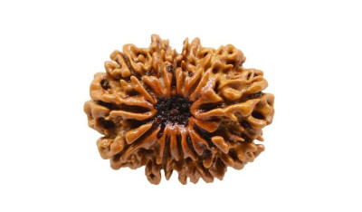 Twelve Mukhi