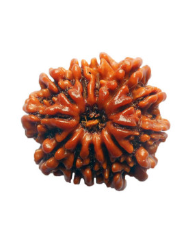 Thirteen Mukhi