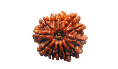 Thirteen Mukhi