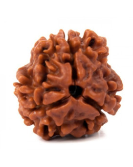 Three Mukhi