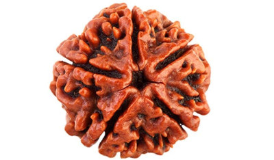 Five Mukhi