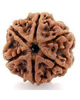 Six Mukhi