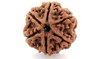 Six Mukhi