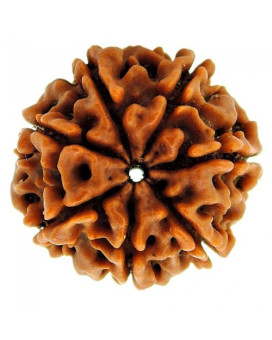 Seven Mukhi