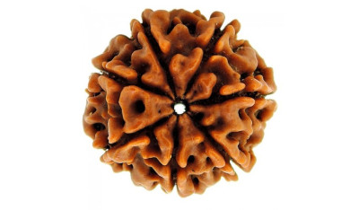 Seven Mukhi