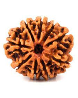 Nine Mukhi