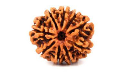 Nine Mukhi