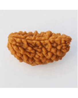 One Mukhi