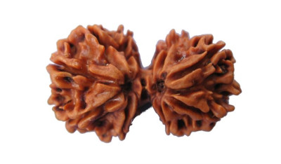 Ganesh Gauri Rudraksha