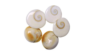 Gomti Chakra