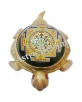 Kachua Shree Yantra