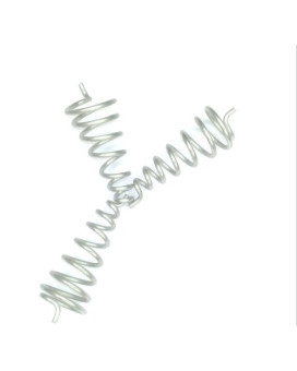 Stainless Steel Spring